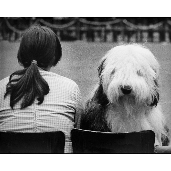 A black and white street photo by PSP shows an Old English Sheepdog with a woman; animals in street photography.