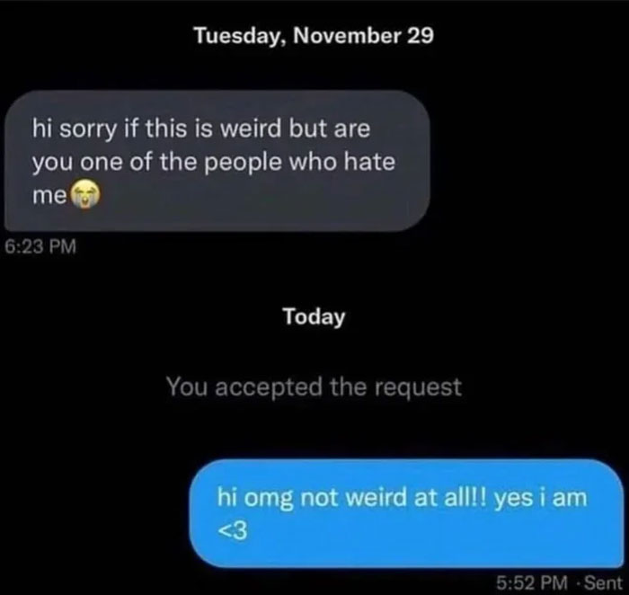 A text message meme showing an unhinged conversation where one person asks if the other hates them, confirming with a funny reply.