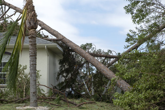 47 People Who Survived The Craziest And Most Terrifying Moments Of Their Lives