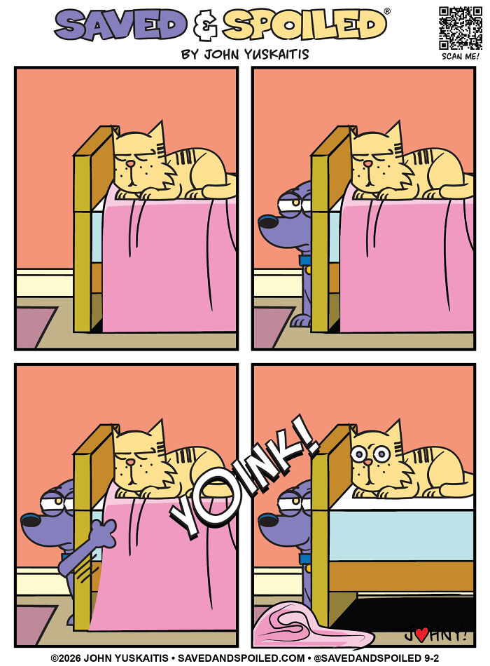 A comic of a dog and a cat trying to coexist as the dog pulls the blanket off the cat.