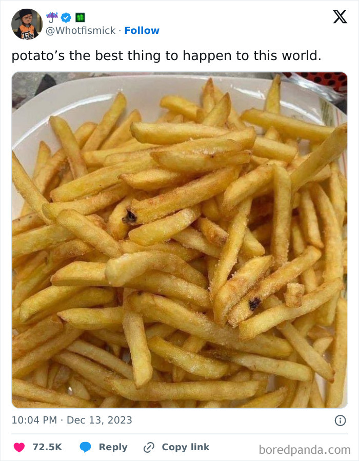 A close-up of a plate full of crispy french fries, shared as a hilarious meme or roast.