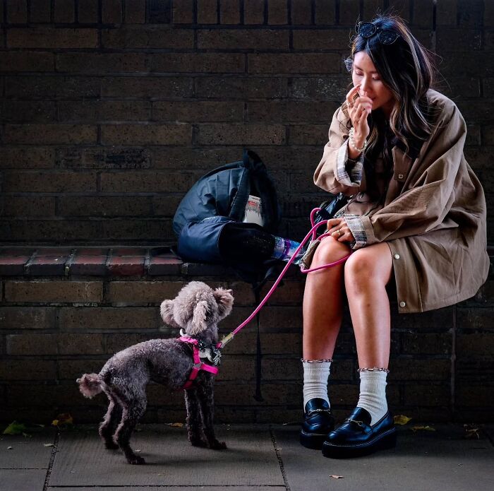 A woman sits on a bench, looking at her small dog on a leash; interesting street photos of animals.