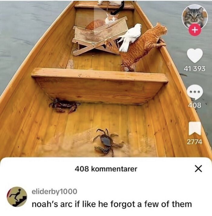 A funny meme showing several cats, a pigeon, and crabs in a boat, with a comment likening it to Noah's Ark.