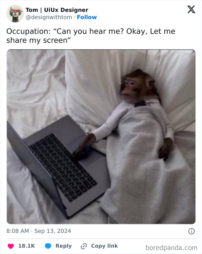 Hilarious reality about 9-to-5 life: a monkey in bed with a laptop, representing remote work.