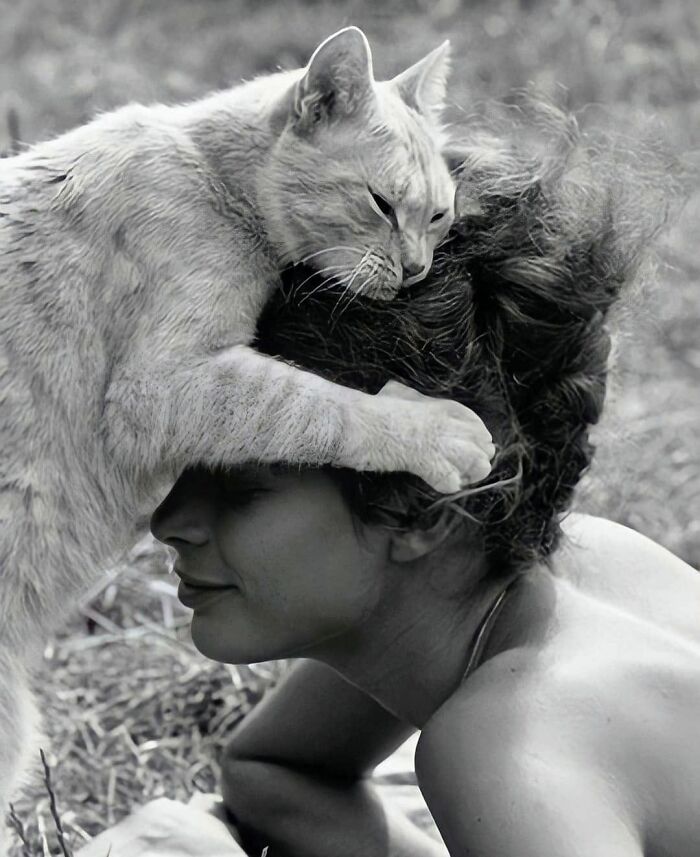 30 More Vintage Cat Photos That Prove Our Love For Cats Hasn't Changed In Over A Century