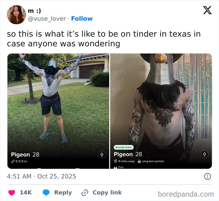 Cringe Tinder profiles of 'Pigeon 28' showing a man in a pigeon costume, illustrating unique dating profiles.