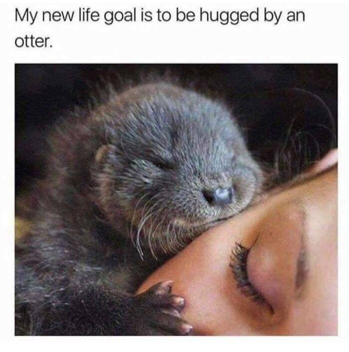 This Facebook Page Shares The Funniest And Cutest Animal Memes On The Internet, And Here Are 50 Of The Best Ones