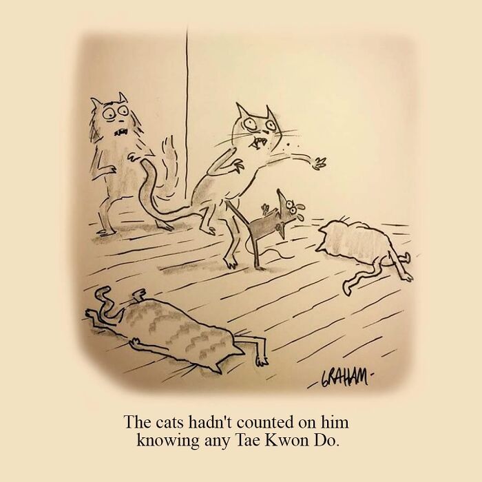 A delightfully weird cat comic depicting cats surprised by a dog doing Tae Kwon Do, perfectly capturing why felines rule the internet.
