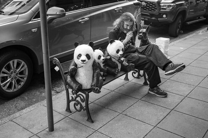 Photographer captures humor and chaos: a man and his dog sit on a bench with three panda figures.