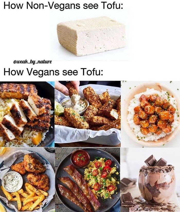 A humorous vegan meme showing how non-vegans see tofu as a plain block, versus how vegans see it as various delicious dishes.