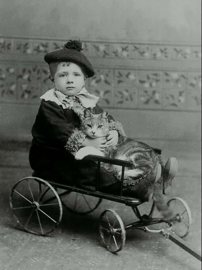 30 More Vintage Cat Photos That Prove Our Love For Cats Hasn't Changed In Over A Century