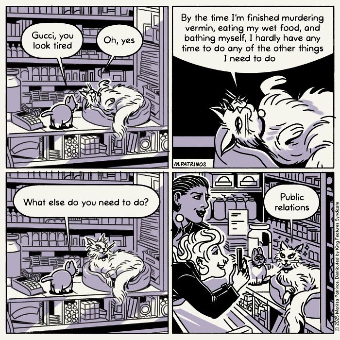 A comic panel imagining cats with jobs, one cat, named Gucci, discusses her busy schedule with another cat.