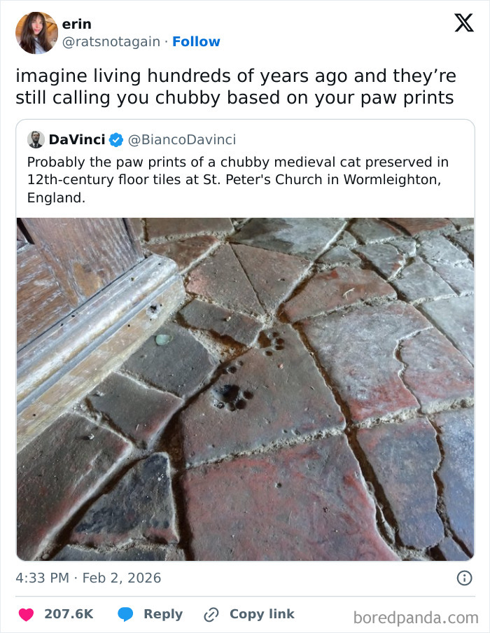 A hilarious meme showing a medieval cat's paw prints on old floor tiles, leading to a joke about being called chubby.