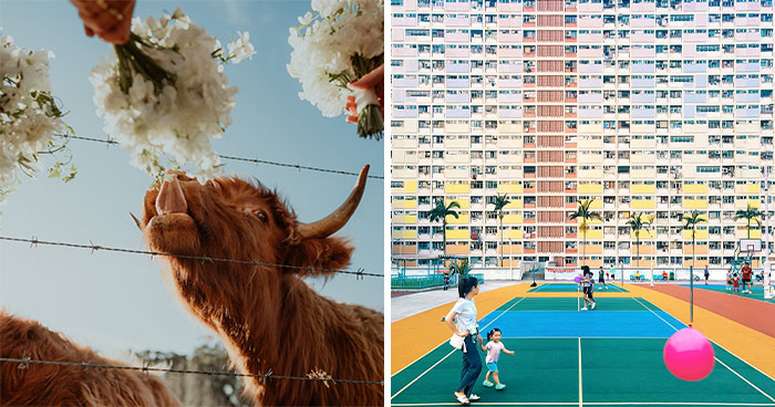 40 Color Photos Shared By The reFocus Contest That Capture The World In Remarkable Ways
