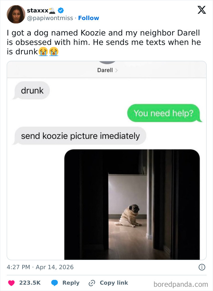 A hilarious meme showing a text exchange about a pug named Koozie, with a picture of the dog.