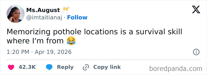 A funny post about memorizing pothole locations as a survival skill, capturing the reality of being an adult.
