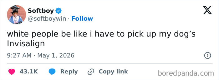 A funny post from Softboy on X, capturing the reality of being an adult, saying white people be like I have to pick up my dog's Invisalign.