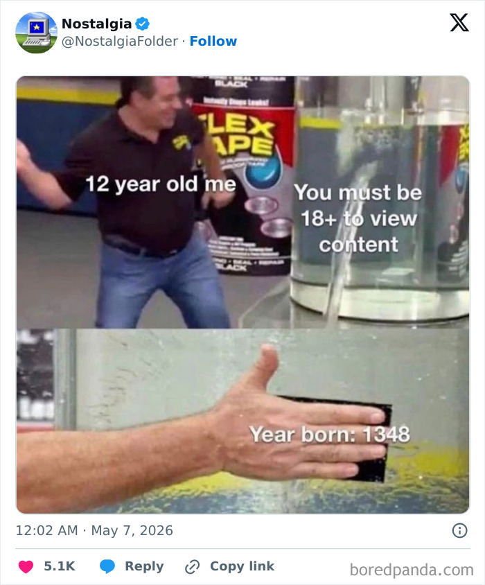 A meme showing a 12-year-old trying to bypass an 18+ content restriction by entering 1348 as the birth year, a humorous nostalgia moment.