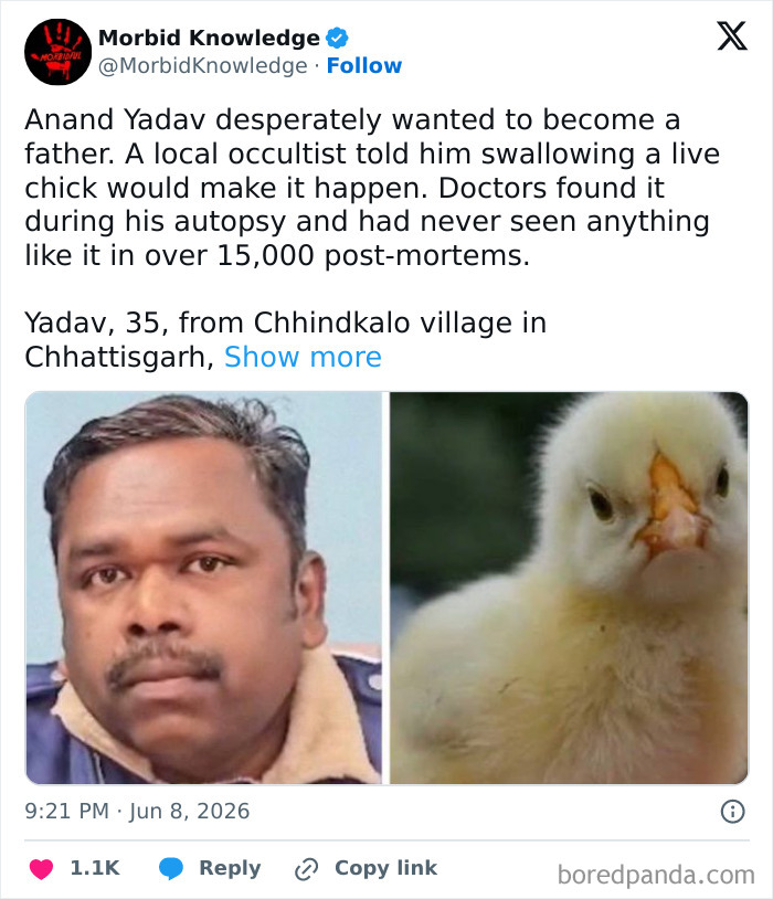 A split image of Anand Yadav and a chick, related to a morbid story about extreme measures to become a father.