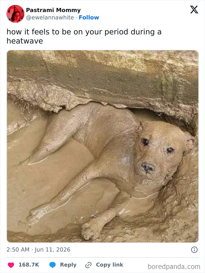 Funny meme comparing period during a heatwave to a dog lying in mud to cool off.