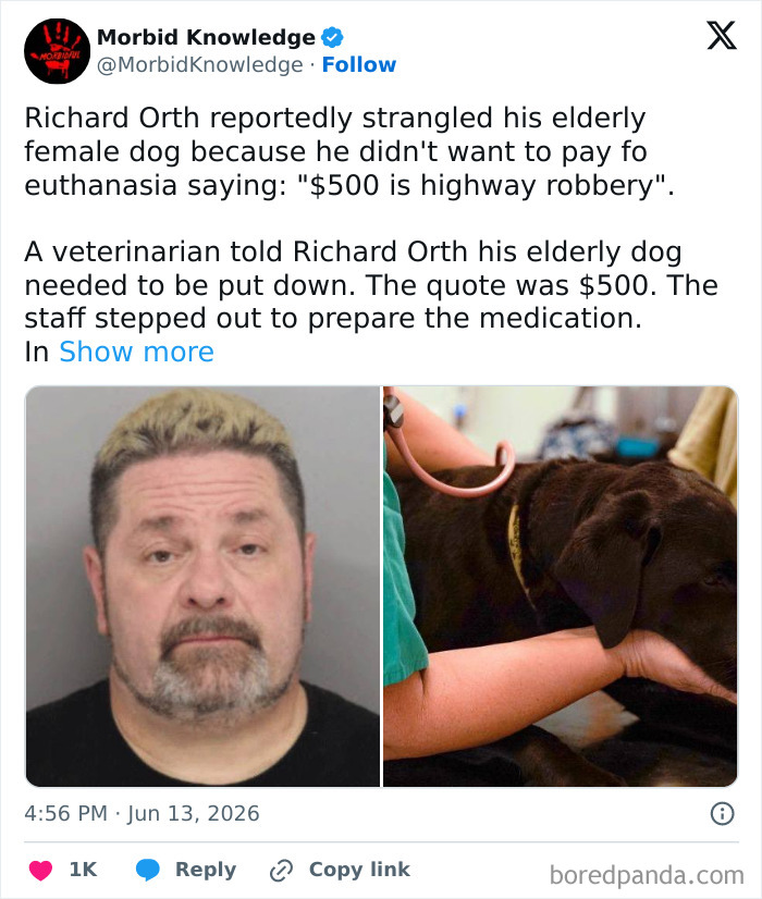 A split image of Richard Orth's mugshot and a dark dog receiving medical attention, highlighting morbid and sad stories.