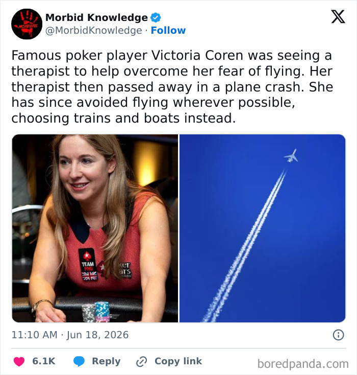 Famous poker player Victoria Coren at a poker table and a plane flying high in the sky. Morbid and sad stories of fear.