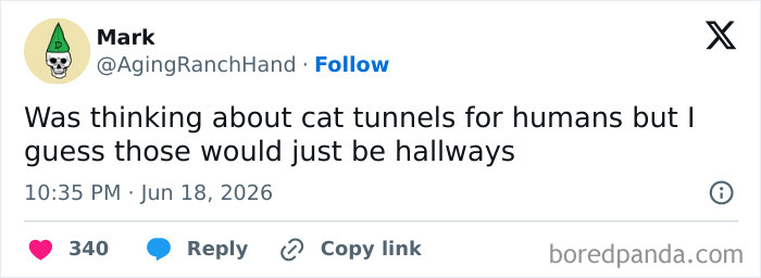 A screenshot of a funny tweet about cat tunnels for humans on Twitter.