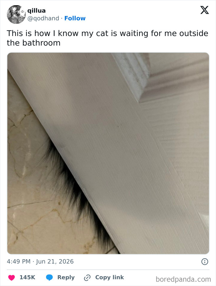 A funny meme showing black cat fur peeking under a bathroom door, illustrating a cat waiting for its owner for a quick laugh.