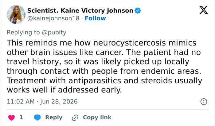 A screenshot of a tweet by Kaine Victory Johnson explaining neurocysticercosis mimicking brain cancer, a horror story.