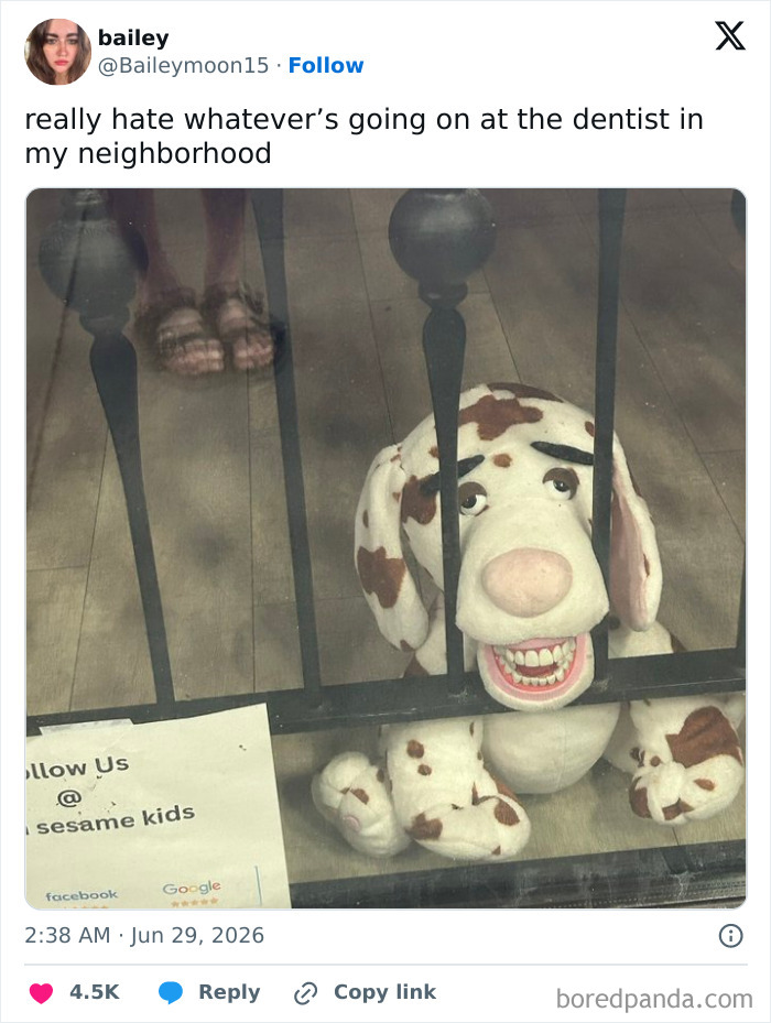A funny tweet from Bailey on Twitter during June showing a creepy dog toy at a dentist office.