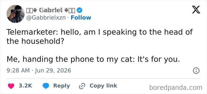 Gabriel's funny tweet handing the phone to his cat when a telemarketer calls for the head of household.