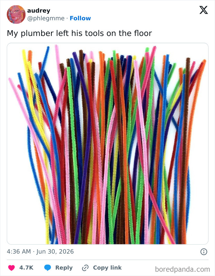 Screenshot of a funny tweet by audrey with an image of colorful pipe cleaners, humorously captioned as plumber's tools.