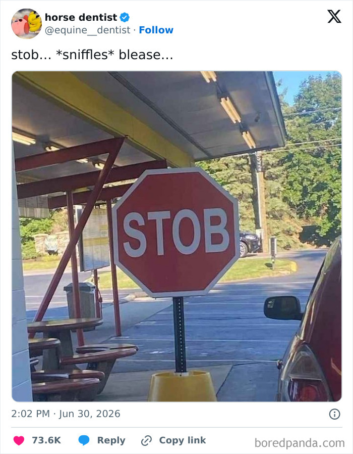 Screenshot of a funny tweet by horse dentist featuring a misspelled STOP sign that reads STOB, a humorous image for June.