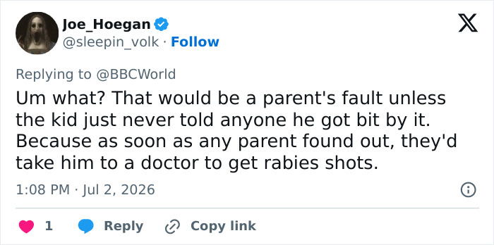 A social media post discussing parental responsibility and rabies shots after a Canadian boy's tragic loss of life from a bat. A social media post discussing parental responsibility and rabies shots after a Canadian boy's tragic loss of life from a bat.