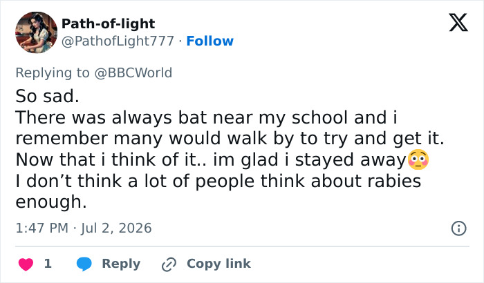 A social media post about rabies awareness, crucial after a Canadian boy's tragic loss of life from a bat. A social media post about rabies awareness, crucial after a Canadian boy's tragic loss of life from a bat.