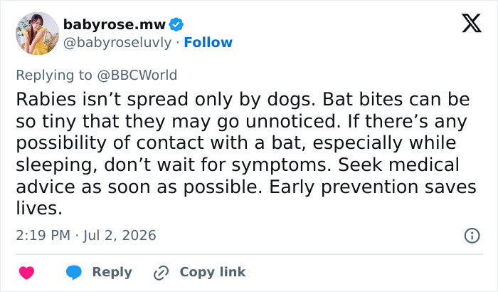 A tweet discussing rabies spread and tiny bat bites, emphasizing the tragic loss of life. A tweet discussing rabies spread and tiny bat bites, emphasizing the tragic loss of life.