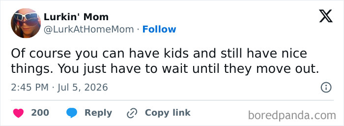 A meme about raising kids, humorously stating that parents can have nice things after their kids move out, a relatable parenting joke.