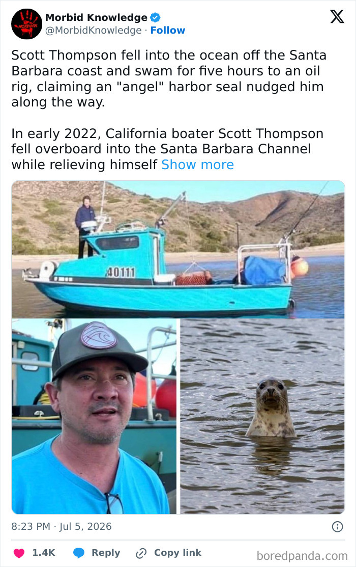 Morbid and sad stories: Scott Thompson and a harbor seal in the water, after Thompson fell off a boat.