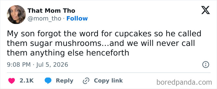 Funny meme about raising kids: A son calling cupcakes sugar mushrooms, a hilariously true moment.