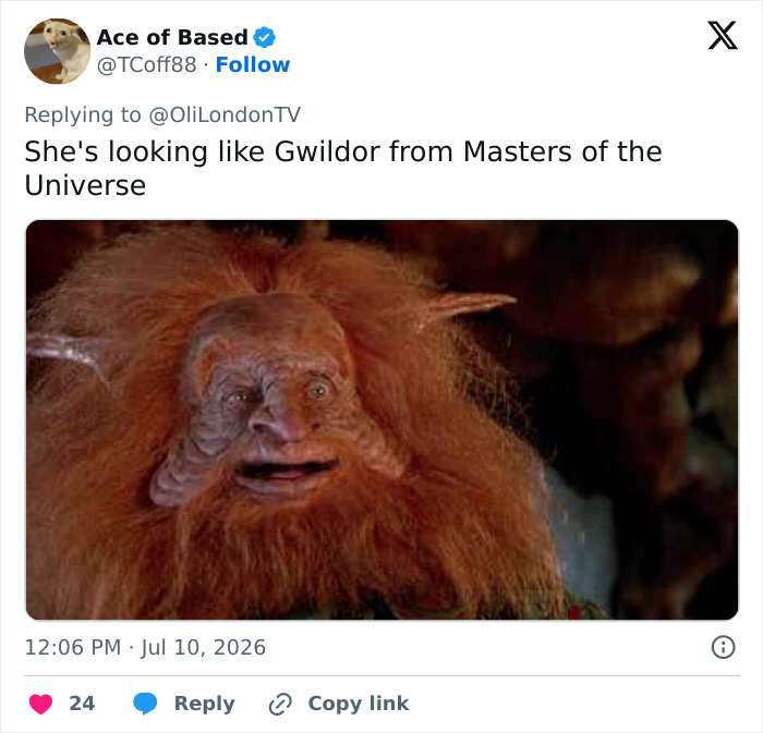 Tweet by Ace of Based comparing a star in her 60s to Gwildor from Masters of the Universe, referring to her relationship. Tweet by Ace of Based comparing a star in her 60s to Gwildor from Masters of the Universe, referring to her relationship.