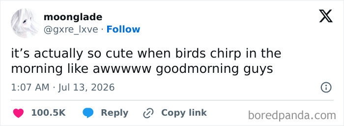 A funny, unhinged tweet from July about birds chirping in the morning, a popular internet moment.
