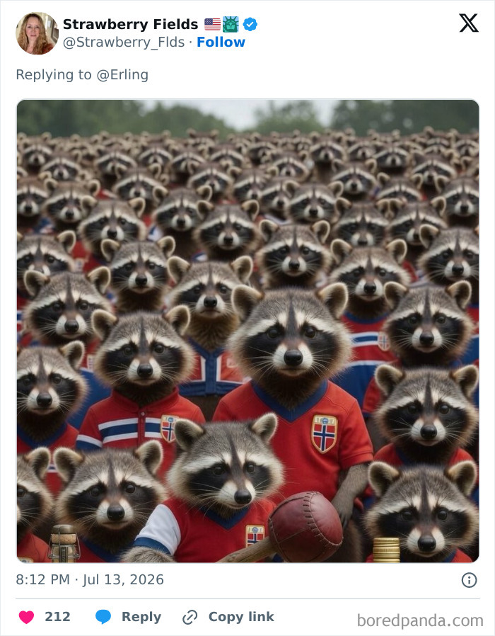 A field full of racoons in soccer jerseys holding footballs, a funny meme about Erling Haaland. A field full of racoons in soccer jerseys holding footballs, a funny meme about Erling Haaland.