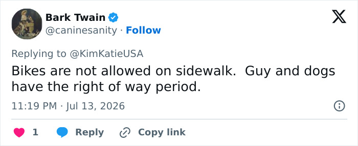 A social media user comments that bikes are not allowed on sidewalks, supporting the man walking his dogs. A social media user comments that bikes are not allowed on sidewalks, supporting the man walking his dogs.