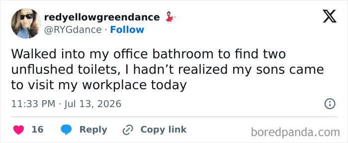 A funny meme about raising kids, showing a tweet from a parent who found unflushed toilets in her office bathroom after her sons visited.