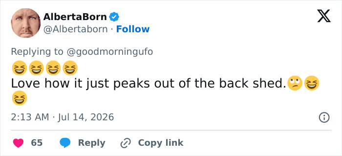 Screenshot of AlbertaBorn tweet humorously commenting on the alien reveal and James Franco's video. Screenshot of AlbertaBorn tweet humorously commenting on the alien reveal and James Franco's video.
