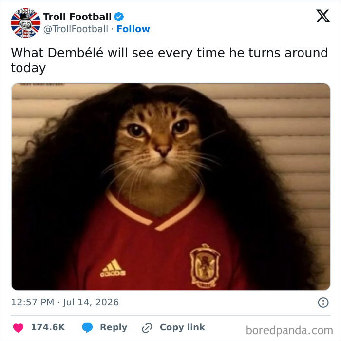 A World Cup 2026 meme featuring a cat with long dark hair wearing a red soccer jersey.