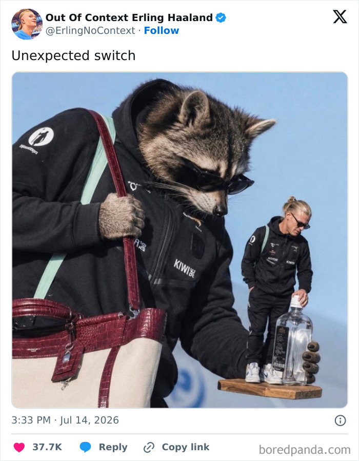 A large raccoon in sunglasses and a hoodie carrying a handbag and a miniature Erling Haaland holding a bottle, a funny meme. A large raccoon in sunglasses and a hoodie carrying a handbag and a miniature Erling Haaland holding a bottle, a funny meme.