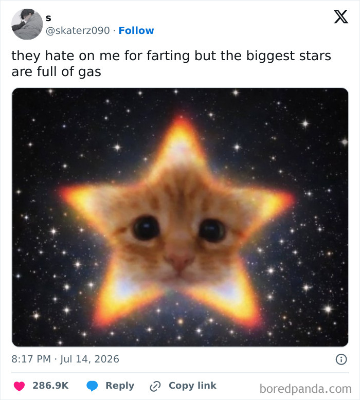 A funny tweet with an image of a cat face within a glowing star, making an unhinged comment about gas.