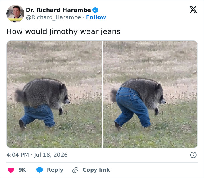 A meme showing an unusually shaped raccoon named Jimothy wearing jeans, a humorous take on its unique shape.