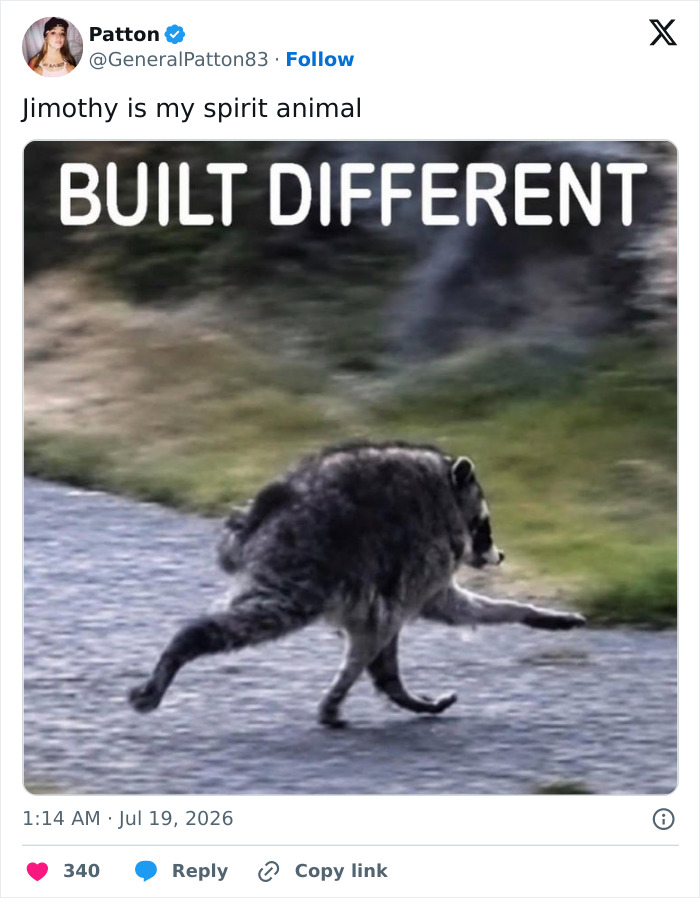 A meme featuring an unusually shaped raccoon named Jimothy with the text BUILT DIFFERENT across the top.